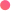 Vidura Wijerathne